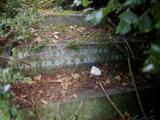 image of grave number 507831